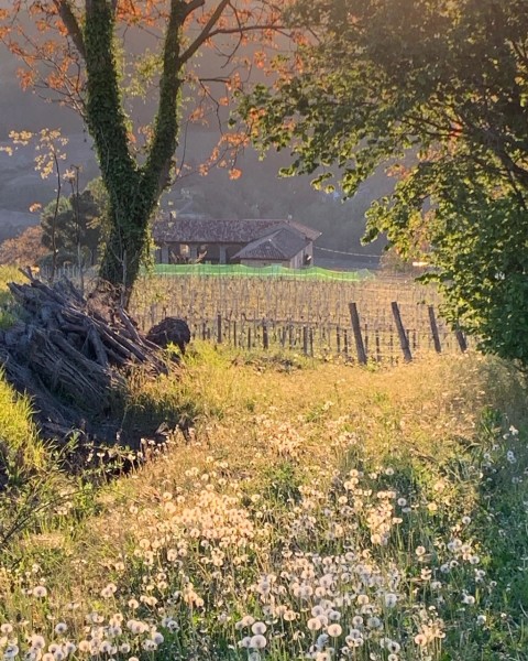 blick-auf-Haus