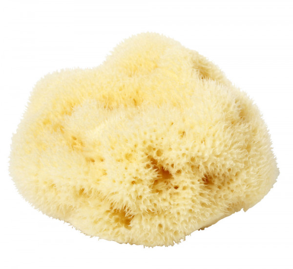 Kosmetik Naturschwamm